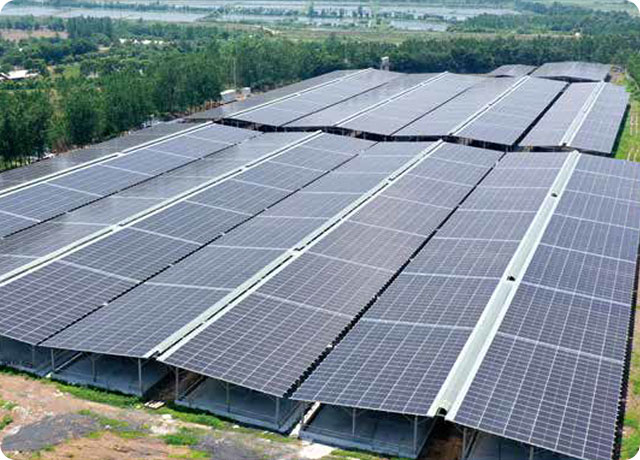 Anhui Anqing Lingnan Beef Cattle Industry Cluster